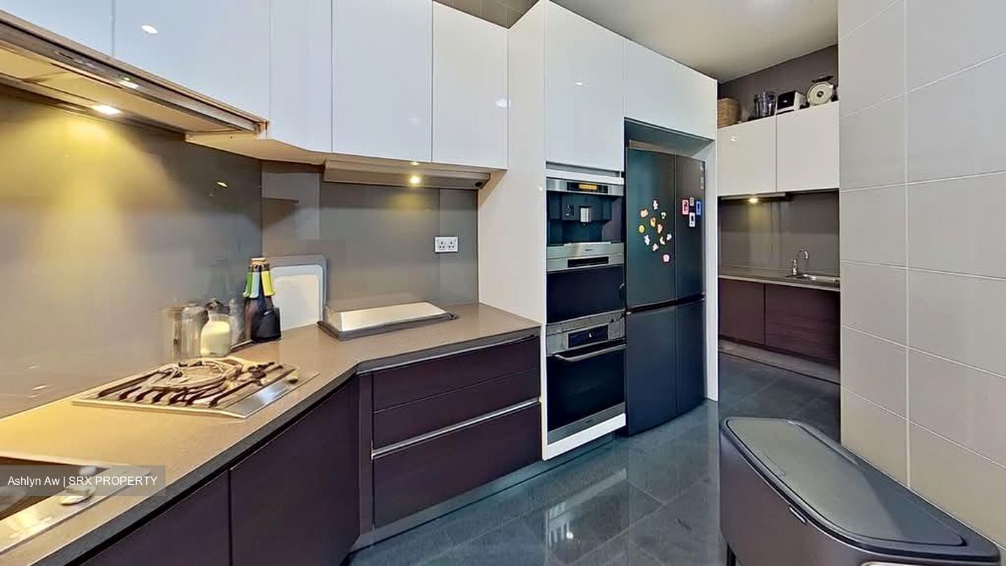 Belle Vue Residences (D9), Condominium #542292361